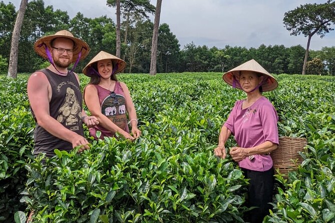 Bavi Eco Tour: Immerse in Authentic Village Life Outside Hanoi - Pickup and timing: plan for a full, comfortable day