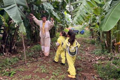 Bee Farm Ecotour and Honey Tasting in Waialua, North Shore Oahu - Suits On: Banana-Tree Walk to the Hives