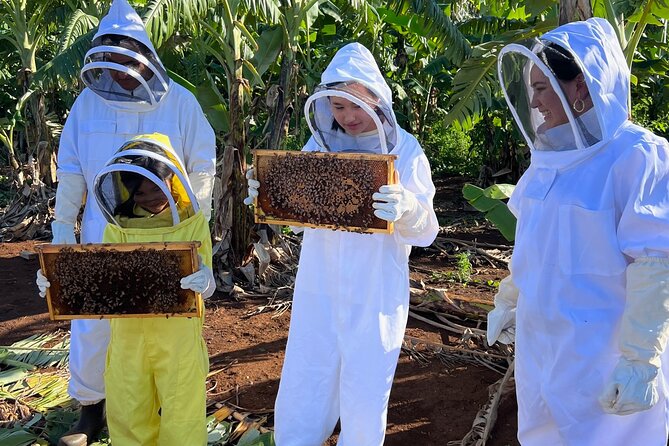 Bee Farm Ecotour and Honey Tasting in Waialua, North Shore Oahu - Price and Time: Does $135 Hold Up?