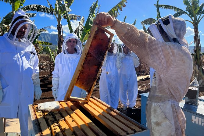 Bee Farm Ecotour and Honey Tasting in Waialua, North Shore Oahu - What to Ask During the Tour (So You Get More Than Photos)