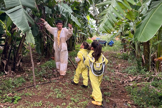 Bee Farm Ecotour and Honey Tasting in Waialua, North Shore Oahu - Suits On: Banana-Tree Walk to the Hives