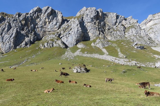 Best of the Uri Alps: A fjord-like lake, glorious peaks and sustainable tourism - A Day That Fits Your Legs: Hiking Choice and 36 Gondola Options