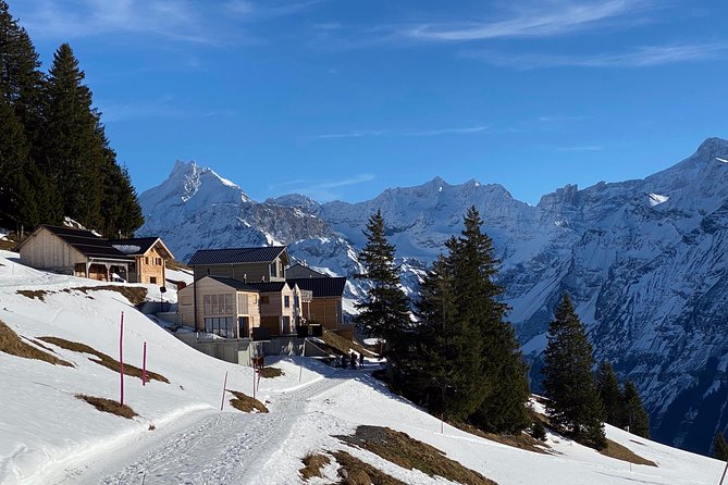Best of the Uri Alps: A fjord-like lake, glorious peaks and sustainable tourism - The Value of a Local Guide Who Actually Adjusts the Day