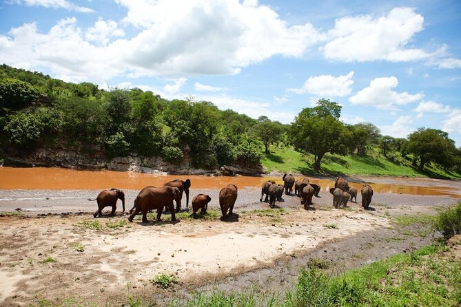 Big Five Classic Safari in Tanzania **Sustainable Travel approach - Key things to know before you go