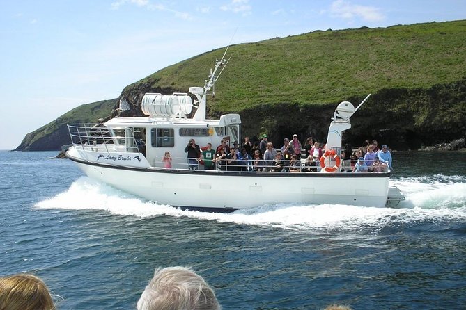 Blasket Island Eco Tour. - Key things that make this tour worth your time