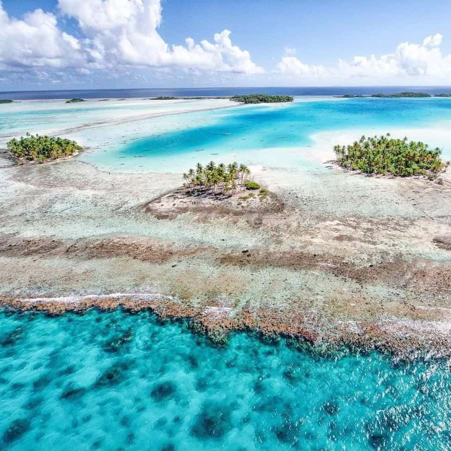 Blue Lagoon Eco-Tour, Avatoru Pass Snorkeling, Secret Green Lagoon - A Full-Day Lagoon Circuit in Rangiroa