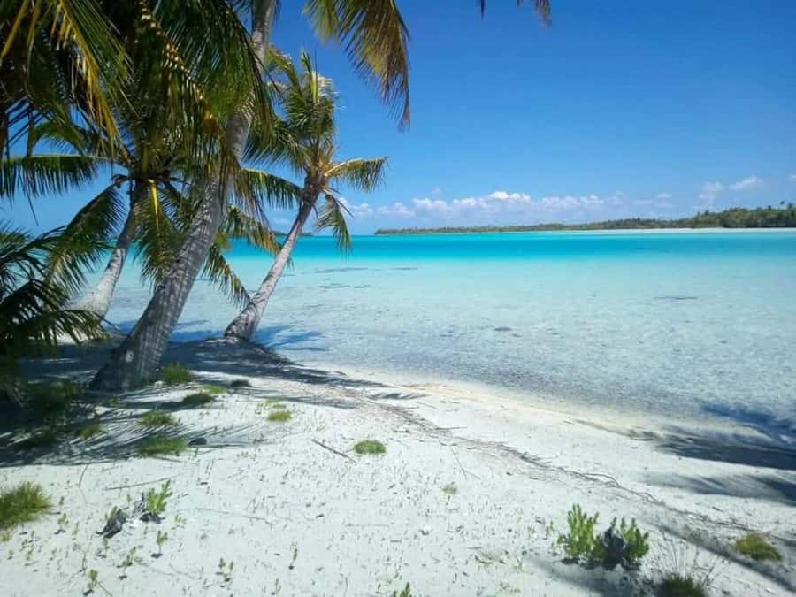 Blue Lagoon Eco-Tour, Avatoru Pass Snorkeling, Secret Green Lagoon - Should You Book the Blue Lagoon Eco-Tour?