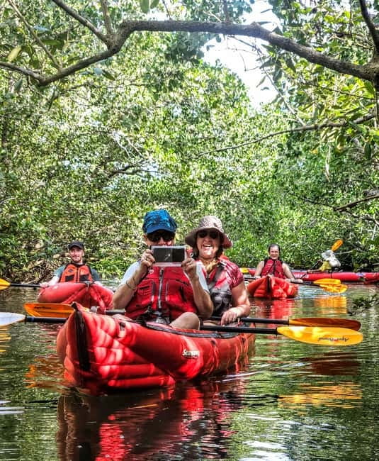 Bohol: SUSTAINABLE Mangrove Tunnels & Firefly Kayaking trail - Pickup, drive time, and what to expect when you arrive