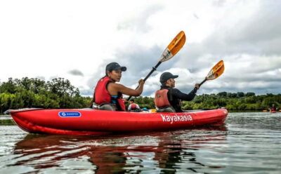 Bohol: SUSTAINABLE Mangrove Tunnels & Firefly Kayaking trail - Pickup, drive time, and what to expect when you arrive