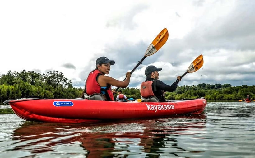 Bohol: SUSTAINABLE Mangrove Tunnels & Firefly Kayaking trail - Pickup, drive time, and what to expect when you arrive