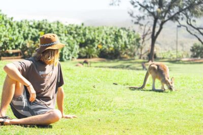 Brisbane: Stradbroke Island Eco Tour - Small Group, Full Day - Getting there: Skytower pickup, van rides, and a ferry that sets expectations