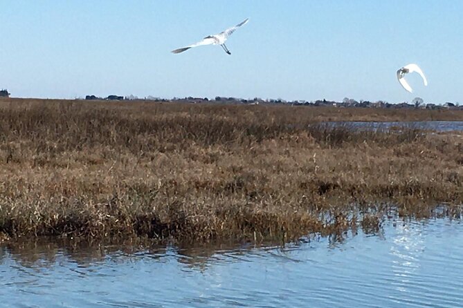 Burano Kayak Eco-Tour Through the Venetian Lagoon - Venetian Lagoon Kayaking: Why This Trip Feels Different