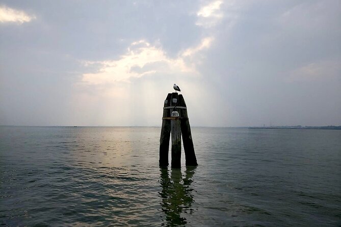 Burano Kayak Eco-Tour Through the Venetian Lagoon - The Paddle Pace: Easy to Manage, Still Interactive