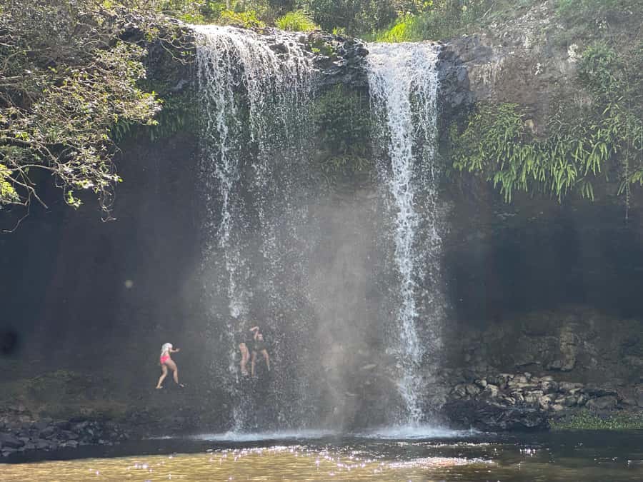 Byron Bay: Rainforest Waterfalls Guided Eco Tour - Butler Street Reserve to Goonengerry: the drive that sets the tone