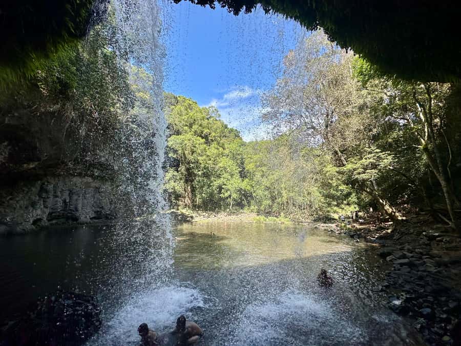Byron Bay: Rainforest Waterfalls Guided Eco Tour - Goonengerry rainforest walk: waterfalls, swimming holes, and wildlife spotting