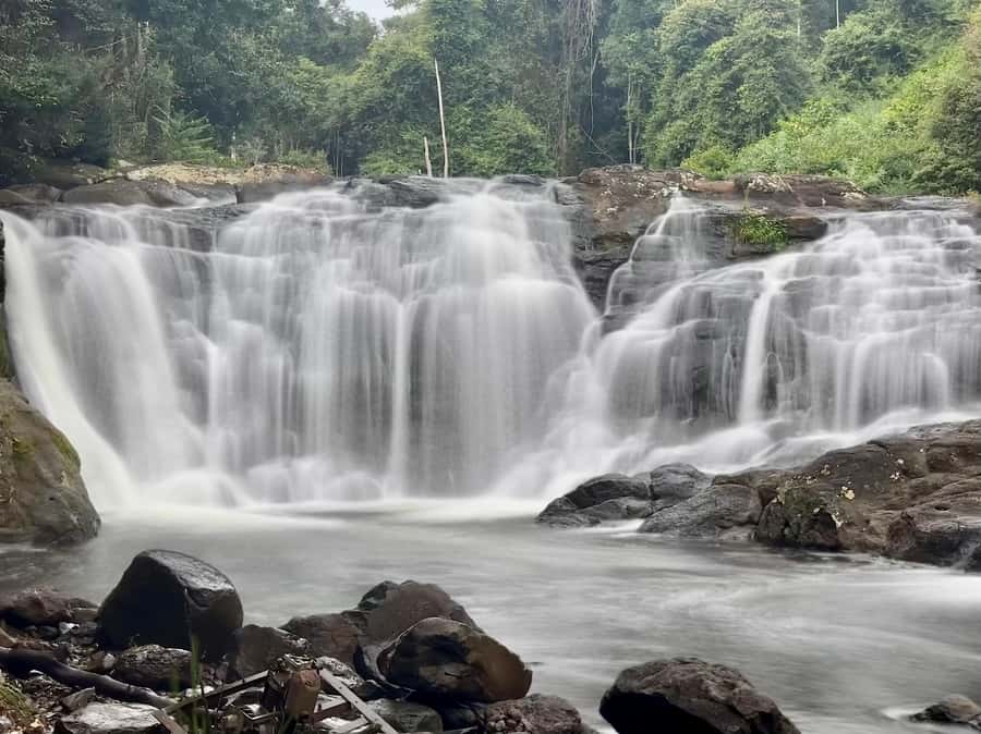 Byron Bay: Rainforest Waterfalls Guided Eco Tour - Lunch and scenic transfer timing: how the day stays smooth