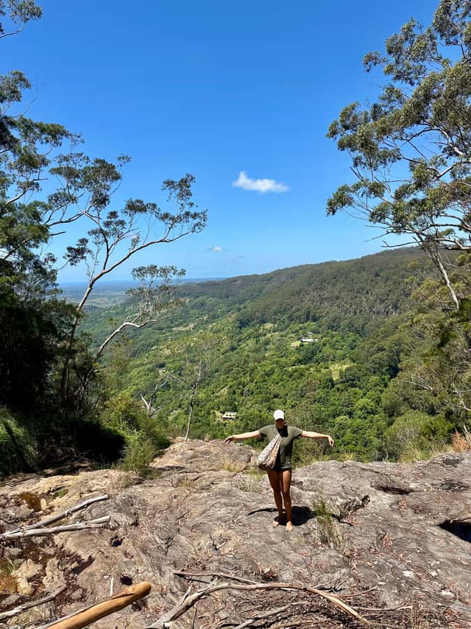 Byron Bay: Rainforest Waterfalls Guided Eco Tour - Price and value: is $119 for 5 hours fair?