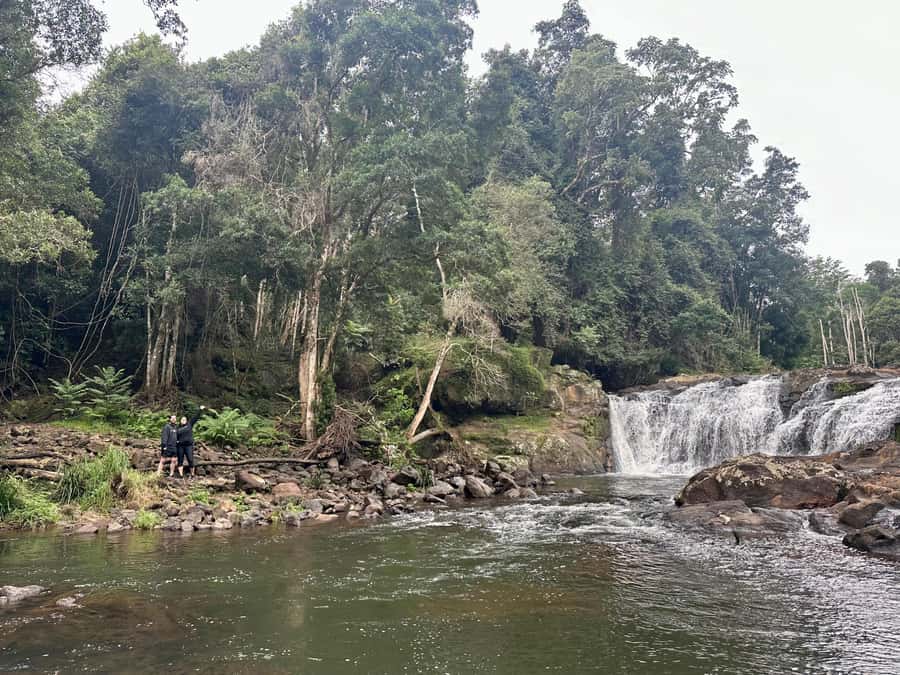 Byron Bay: Rainforest Waterfalls Guided Eco Tour - Practical tips: pack smart for rainforest trails and waterfall swims