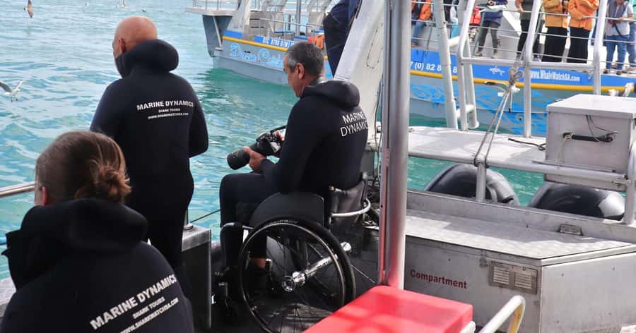 Cape Town: Gansbaai Eco-Friendly Shark Cage Diving Cruise - Price and value: is $237 worth it?