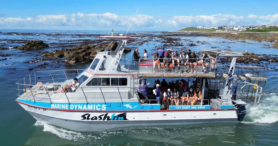 Cape Town: Gansbaai Eco-Friendly Shark Cage Diving Cruise - The Great White House briefing: safety and science that actually helps