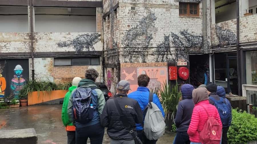 Cape Town: Inspiring sustainable change through Street Art - Woodstock to Salt River: art you can’t ignore