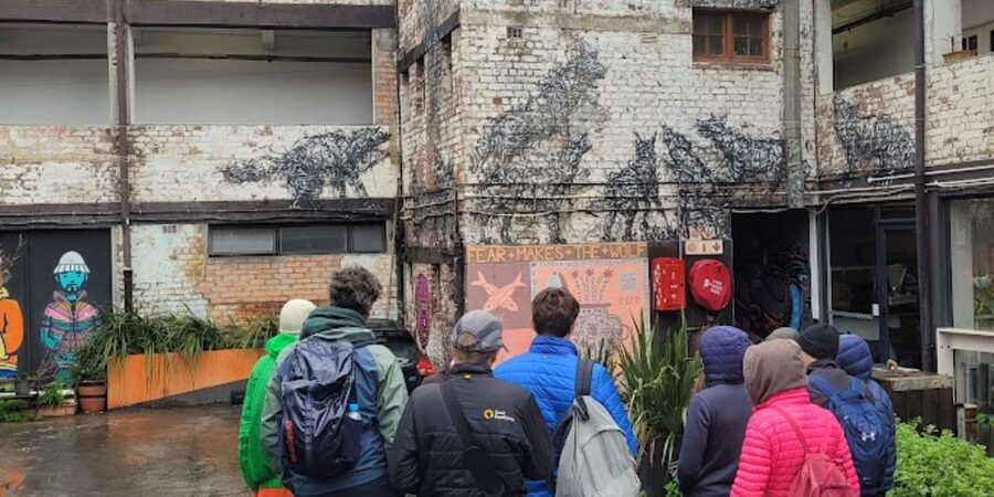 Cape Town: Inspiring sustainable change through Street Art - Price and value: does $48 make sense?
