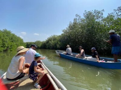 Cartagena: Mangrove Eco Tour & Fishing with Transportation - Hotel pickup in Cartagena: the quiet win that saves your morning
