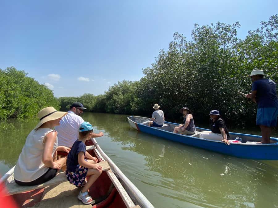 Cartagena: Mangrove Eco Tour & Fishing with Transportation - Hotel pickup in Cartagena: the quiet win that saves your morning
