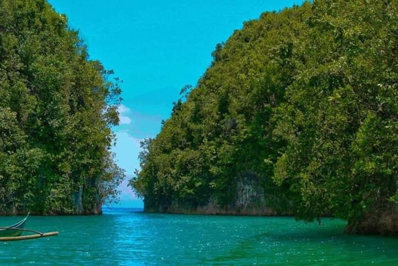 Cebu: Mantayupan Falls, Hermit's Cove & Bojo River Eco Tour - Bojo River eco cruise: mangroves, birdwatching, and local craft demos