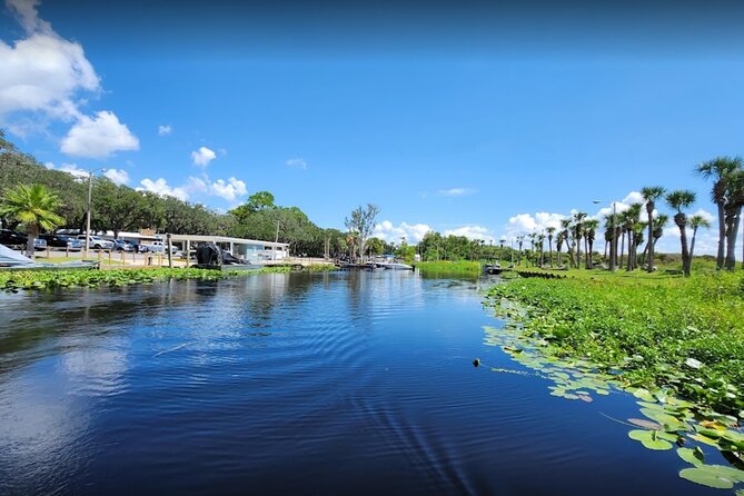 Central Florida's Airboat Rides - Tips for a smoother ride: seating, bugs, and daytime heat
