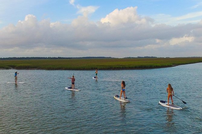Charleston Stand-Up Paddleboard Eco Tour - Price and value: what $60 actually buys you