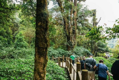 Chiang Mai: Doi Inthanon National Park Eco-Friendly Tour - Eco-Friendly Details That Actually Affect Your Day