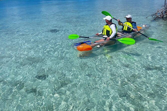 Clear Kayak Eco Tour Explore Mangroves and Meet the Turtles - Mangrove Cay Stop: The Wildlife-Spotting Loop That Works