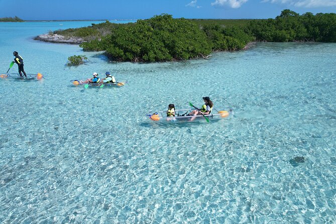 Clear Kayak Eco Tour Explore Mangroves and Meet the Turtles - What You’ll See Under the Water (And Why It’s Not the Same as “Deep Blue”)