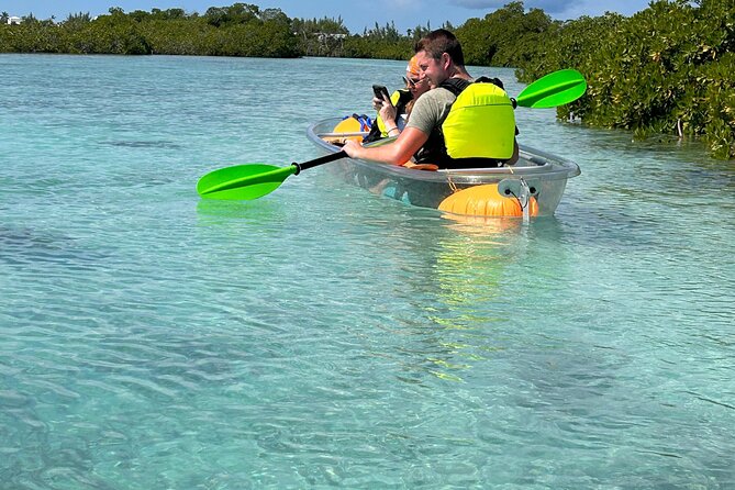 Clear Kayak Eco Tour Explore Mangroves and Meet the Turtles - Guides, Group Size, and the Pace for First-Timers
