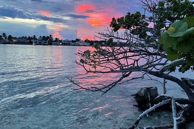 Clear Kayak Eco Tour in Jupiter, Florida - Clear kayaks on the Indian River: why this feels different