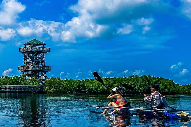 Clear Kayak Ecotour at Robinson Preserve in Bradenton, Florida - Robinson Preserve in a Clear Kayak: Why It Feels Different