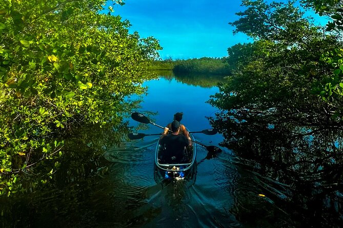 Clear Kayak Ecotour at Robinson Preserve in Bradenton, Florida - Tampa Bay Views and the 5-Story Observation Towers
