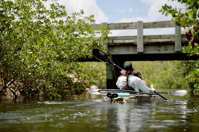 Clear Kayak Ecotour at Robinson Preserve in Bradenton, Florida - Guides Who Actually Explain What You’re Seeing (Lindsay, Katie, and Local Naturalists)
