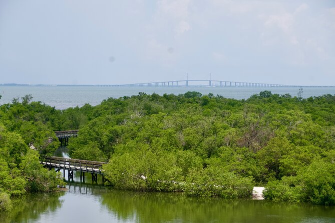Clear Kayak Ecotour at Robinson Preserve in Bradenton, Florida - Paddling Reality Check: Peaceful, But Some Days Feel Like Work