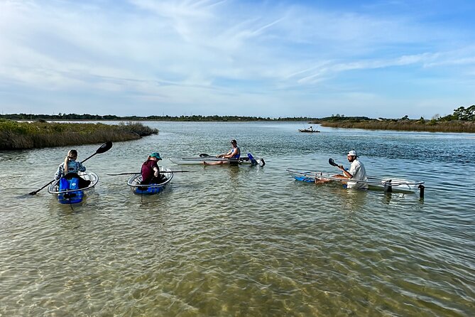Clear Kayak Ecotour Destin Ft. Walton Beach - Clear Kayak vs. the usual boat ride around Destin