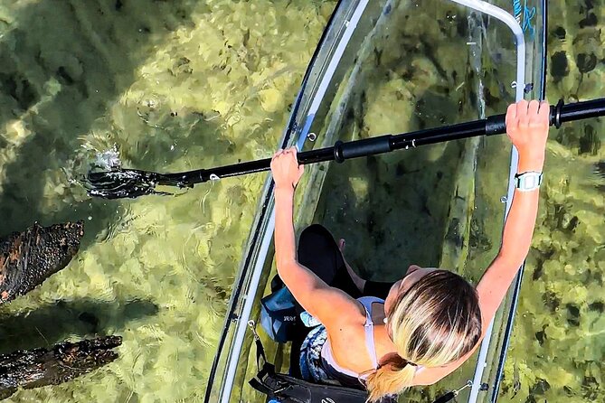Clear Kayak Ecotour Destin Ft. Walton Beach - Your 2-hour paddle plan from 101 W Miracle Strip Pkwy