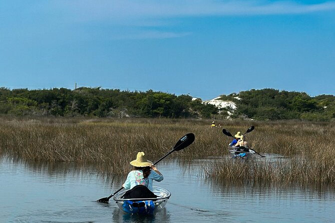 Clear Kayak Ecotour Destin Ft. Walton Beach - Wildlife spotting you can actually see: stingrays, crabs, and fish