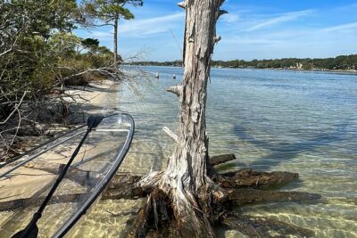 Clear Kayak Ecotour Destin Ft. Walton Beach - Santa Rosa Sound time: what you’ll do out on the water