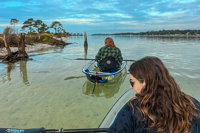 Clear Kayak Ecotour Destin Ft. Walton Beach - Who should book this: families, beginners, and fitness expectations