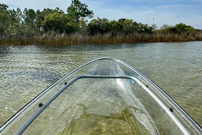 Clear Kayak Ecotour Destin Ft. Walton Beach - Price and what you actually get for $69