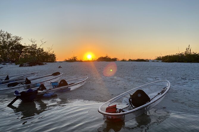 Clear Kayak Guided Eco Tour in North Naples - Key highlights I’d put on your mental checklist