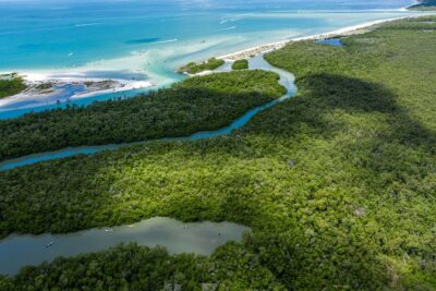 Clear Kayak Guided Eco Tour in North Naples - Small-group guiding: why it feels personal on the water