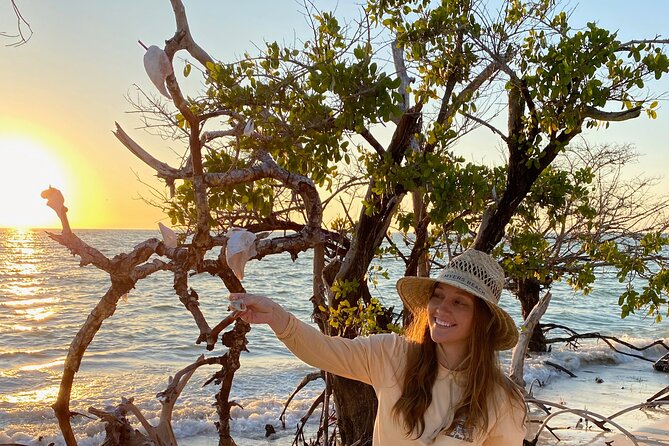Clear Kayak Guided Eco Tour in North Naples - Price and value: is $84 worth it?