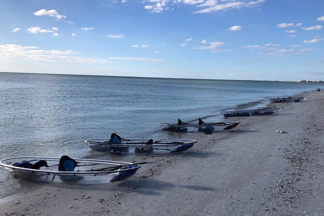 Clear Kayak Guided Eco Tour in North Naples - Wildlife expectations: dolphins, manatees, and the real-world odds
